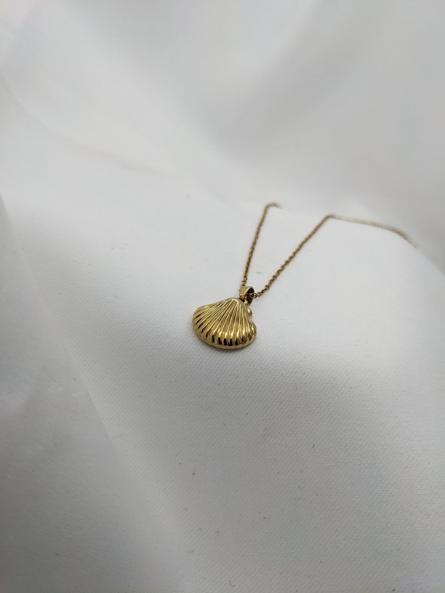 Golden Shell Necklace