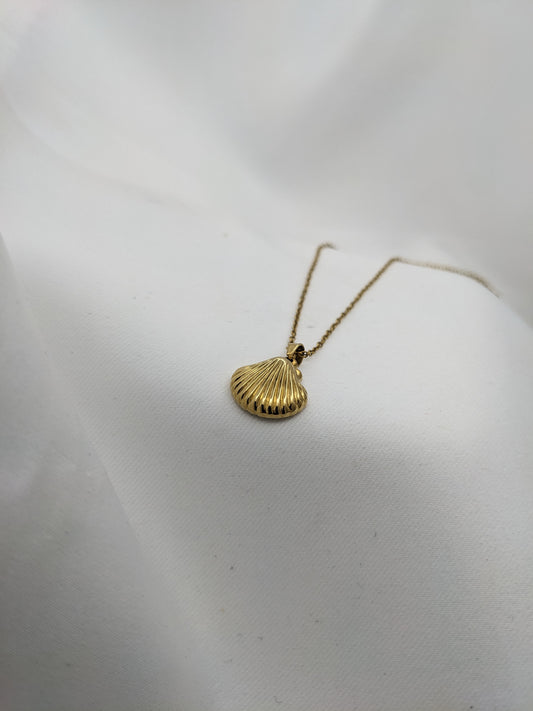 Golden Shell Necklace